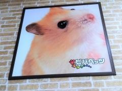 ハッピーベルビバペッツ　ちはら台店