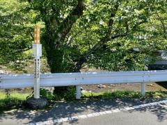 「大沢橋」バス停留所