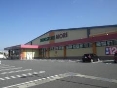 ドラッグストアモリ　城南店