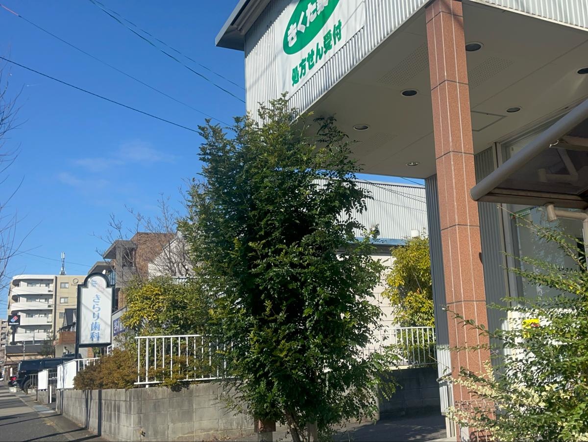 きくた薬局の写真です。