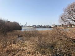 新池公園