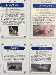 王子街園