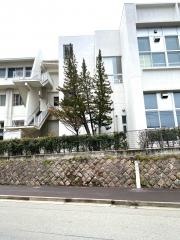 鹿児島市立鹿児島玉龍中学校