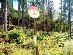 「市の沢(矢祭町)」バス停留所
