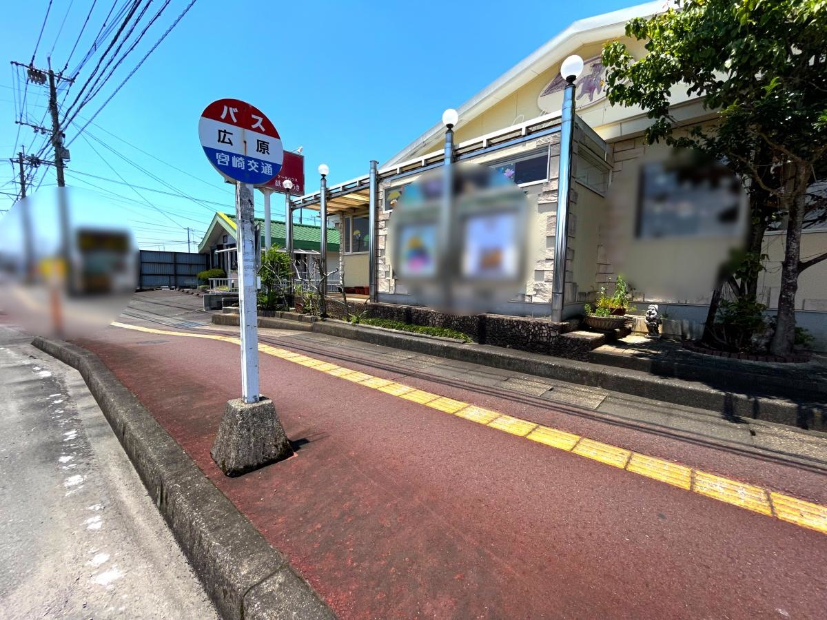 全体