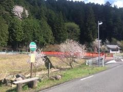 「稲荷神社前」バス停留所