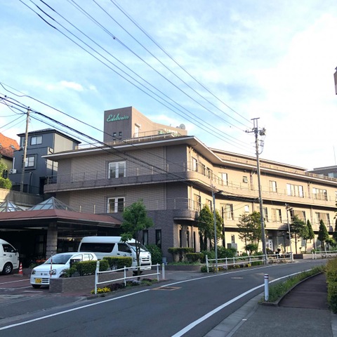 エーデルワイス四葉