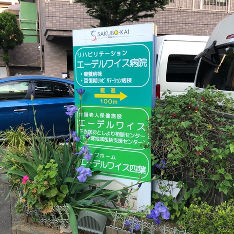 エーデルワイス四葉