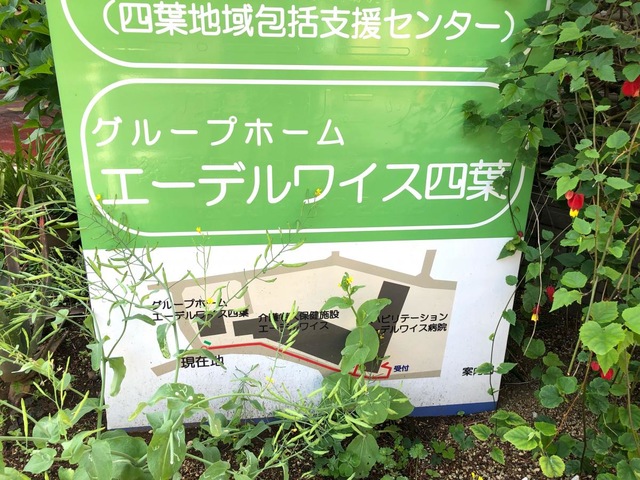 エーデルワイス四葉 看板