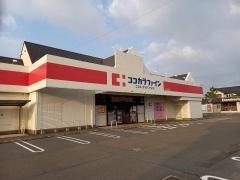 ココカラファイン大山田店