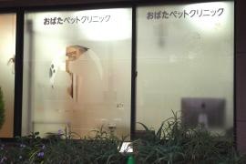 おばたペットクリニック