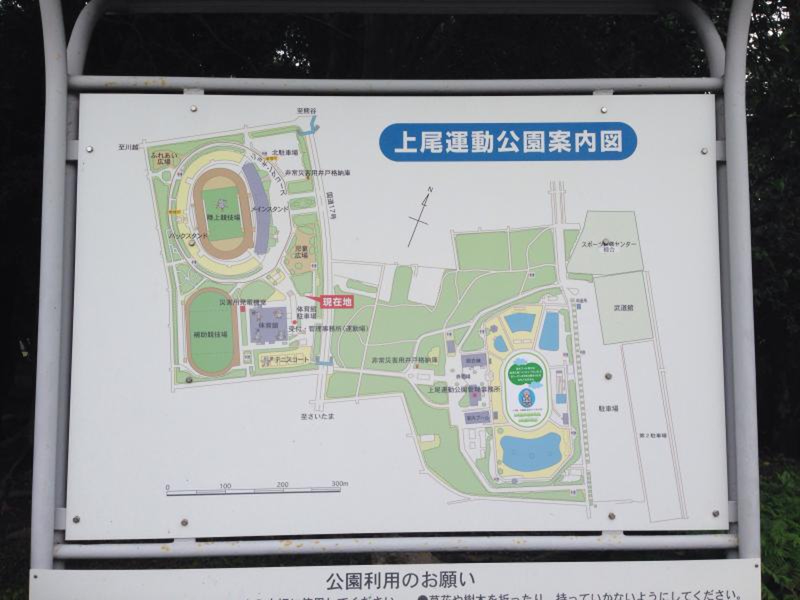 上尾 運動 公園 体育館
