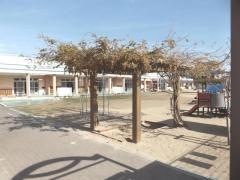 田原幼稚園