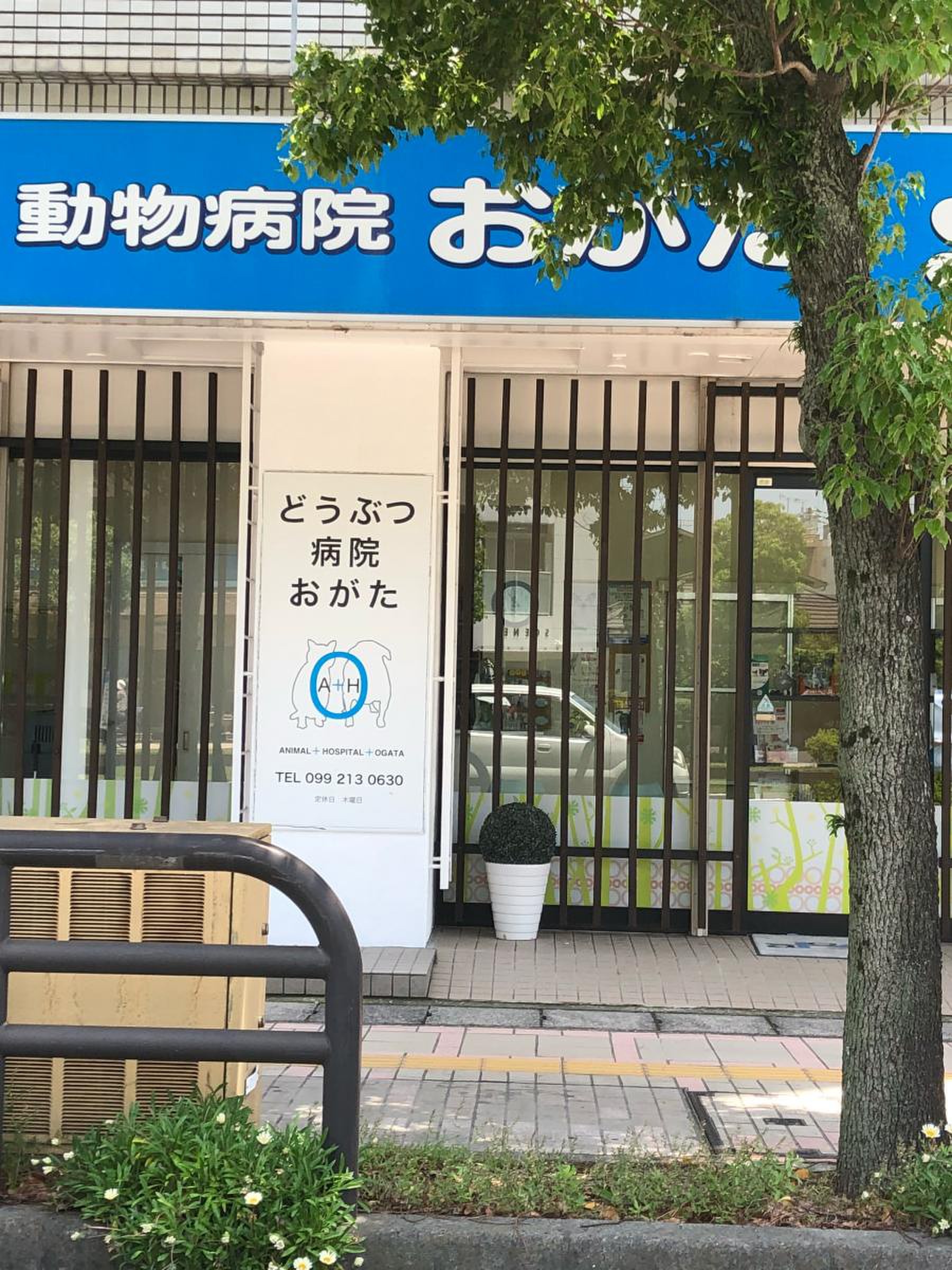 お が た 動物 病院