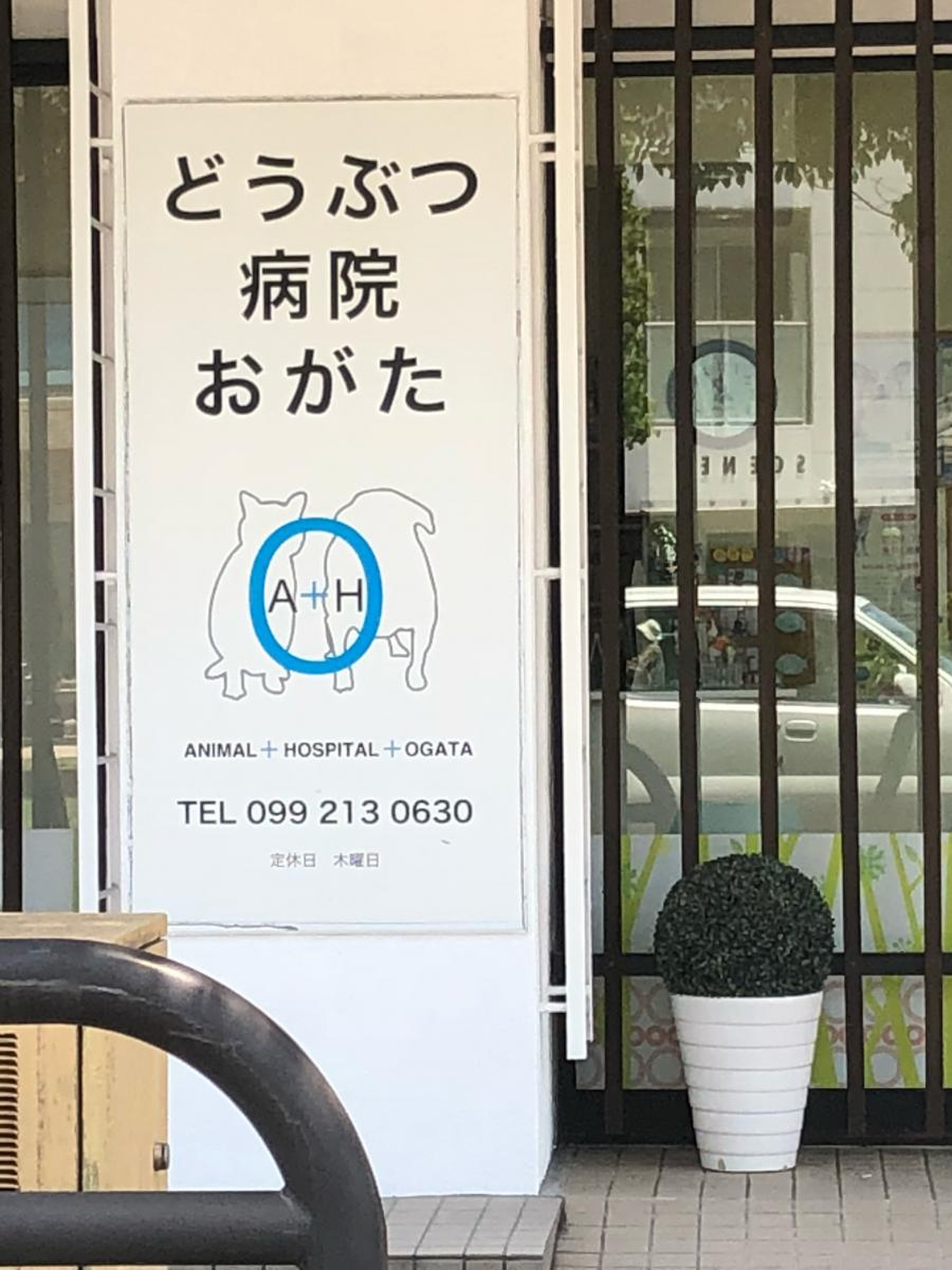お が た 動物 病院