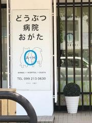 動物病院おがた