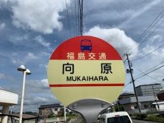 「向原(二本松市)」バス停留所