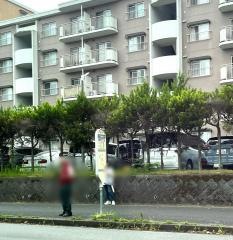 「松葉町五丁目」バス停留所