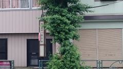 「税務署前」バス停留所