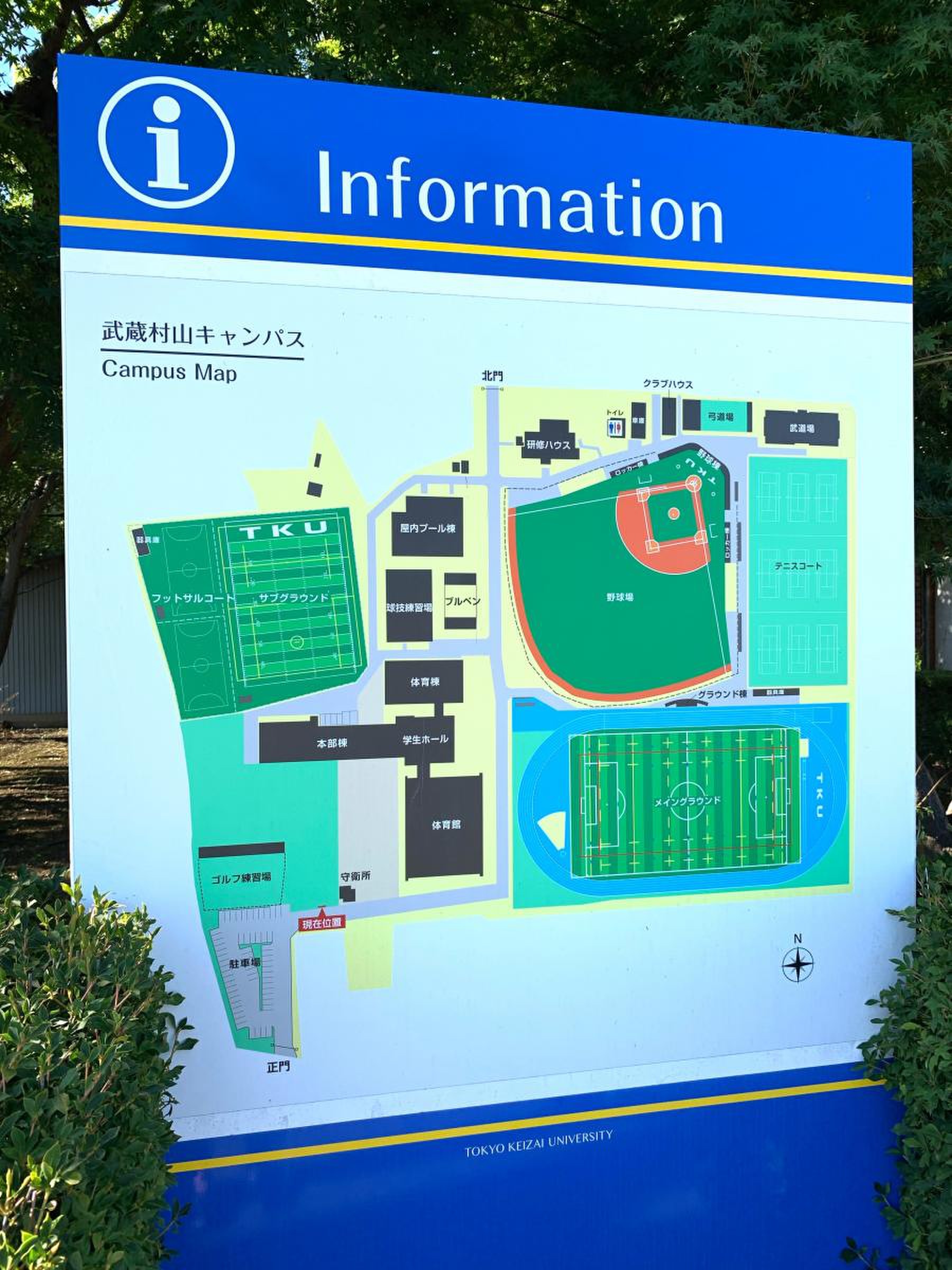 活動歴および当時の関連ビジュアル記録