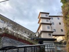 磯波風