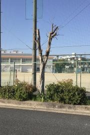 枚方市立長尾中学校