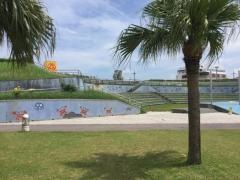 安良波公園