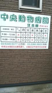 中央動物病院江古田第二病院