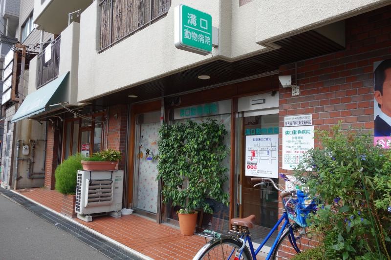 溝口動物病院