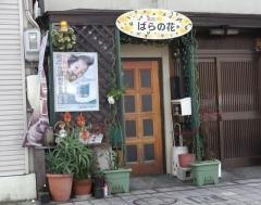 楽園　ばらの花