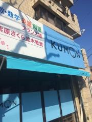 公文紫原さくら並木