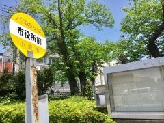 「市役所前」バス停留所