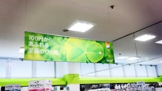 Ｓｅｒｉａ　ゆめマート曽根店