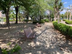 若泉運動公園