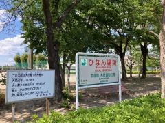 若泉運動公園