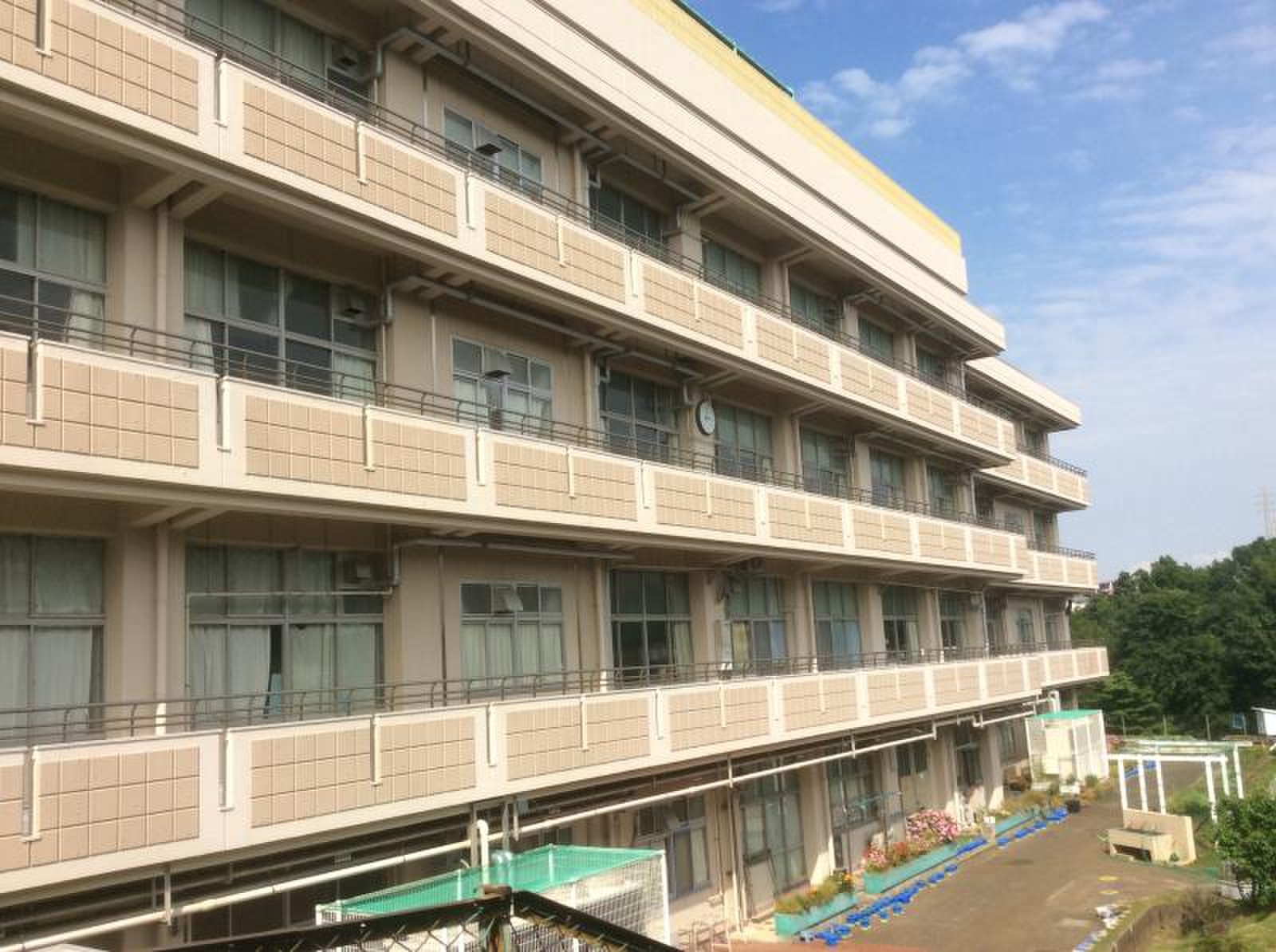 活動歴および当時の関連ビジュアル記録