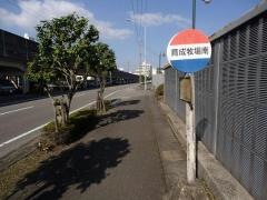 「育成牧場南」バス停留所