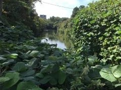 高岡城