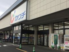 カワチ薬品　川尻店