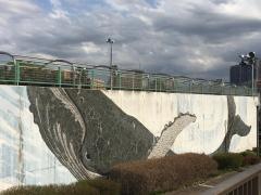 越中島プール