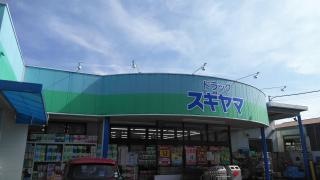 ドラッグスギヤマ新城店