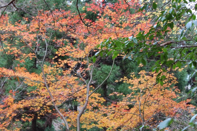 施設写真13