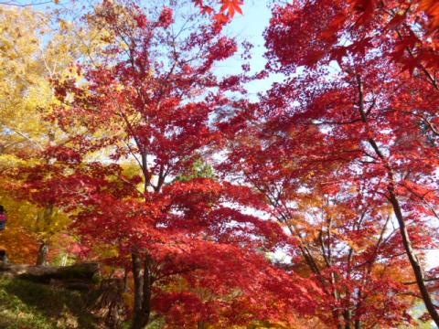 施設写真22
