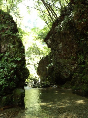 施設写真19