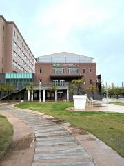 福岡国際医療福祉学院