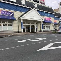 愛犬ショップＺＯＯＫ９ＺＯＯわさだ店