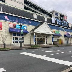 愛犬ショップＺＯＯＫ９ＺＯＯわさだ店