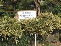 松尾動物病院