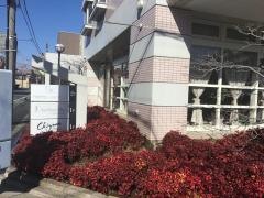 佐瀬歯科医院