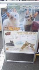 ＣａｔＣａｆｅねころび